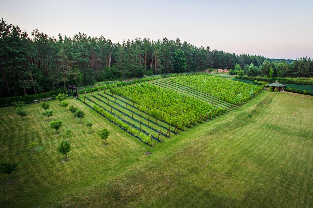 Warminska Winnica Barczewo Luaran gambar