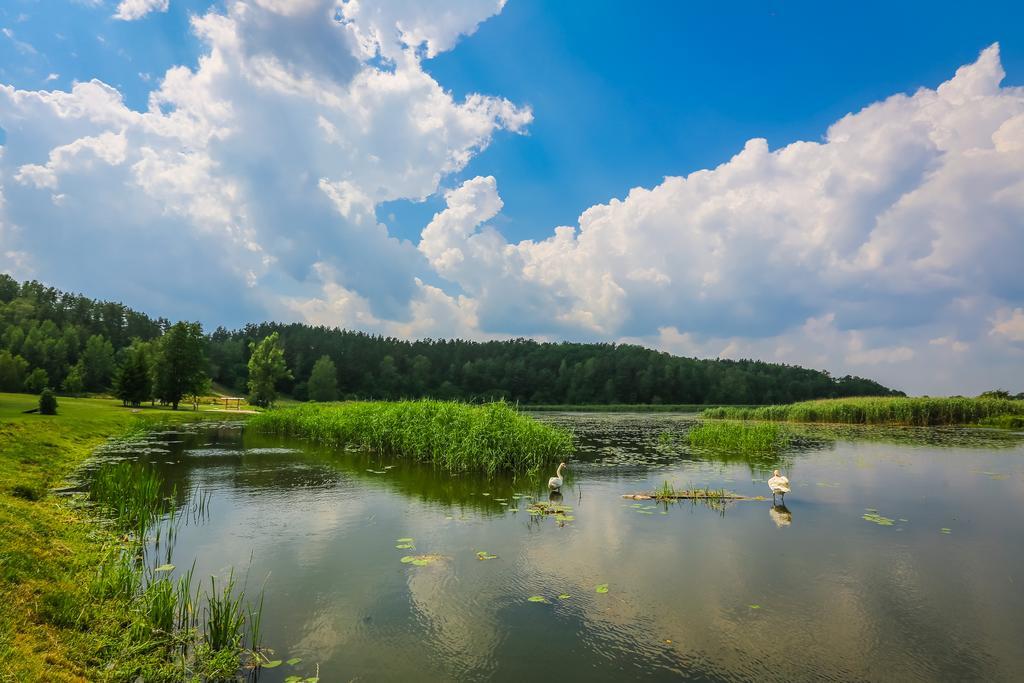 Warminska Winnica Barczewo Luaran gambar